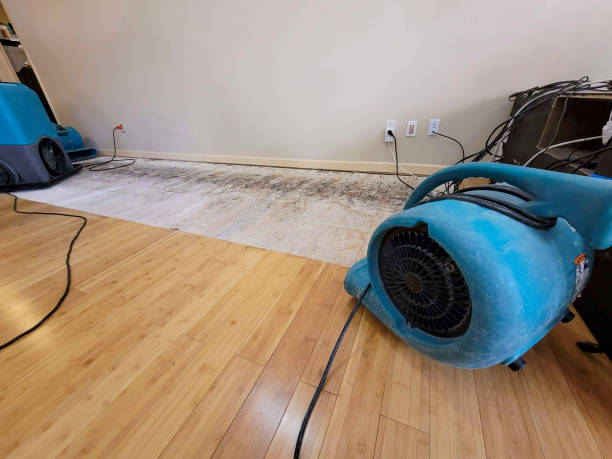 Professional Sewage Cleanup technician working in Hawi, HI